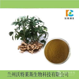 花生粉 花生提取物 批發(fā)價格價格,產品報價
