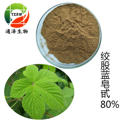 絞股藍(lán)80% 絞股藍(lán)提取物 直銷(xiāo)