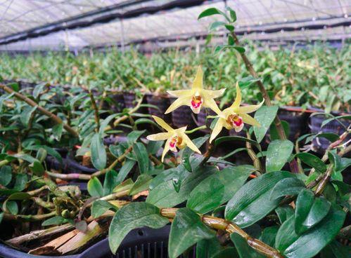 快看看你的抗初老護(hù)膚品里有沒(méi)有這些必備成分