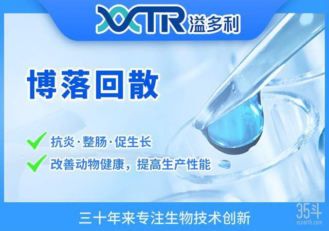 動植物綠色替代,看看海外獨(dú)角獸怎么做