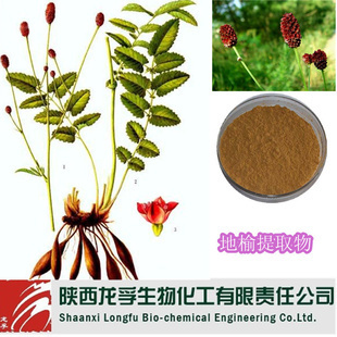 植物提取物-專業(yè)廠家現(xiàn)貨直銷 優(yōu)質(zhì) 純天然 地榆提取物 地榆皂甙-植物提取物盡在.