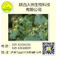 供應牛蒡子提取物 植物提取物 廠家直銷批發(fā)價格@西安 陜西大田生物 植物提取物-