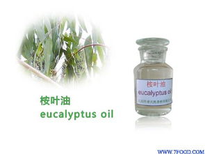 環(huán)球天然桉葉油 供應信息