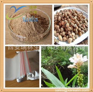 植物提取物-廠家現貨供應益智仁提取物,濕脾止瀉優(yōu)質原料-植物提取物盡在阿里巴巴-.