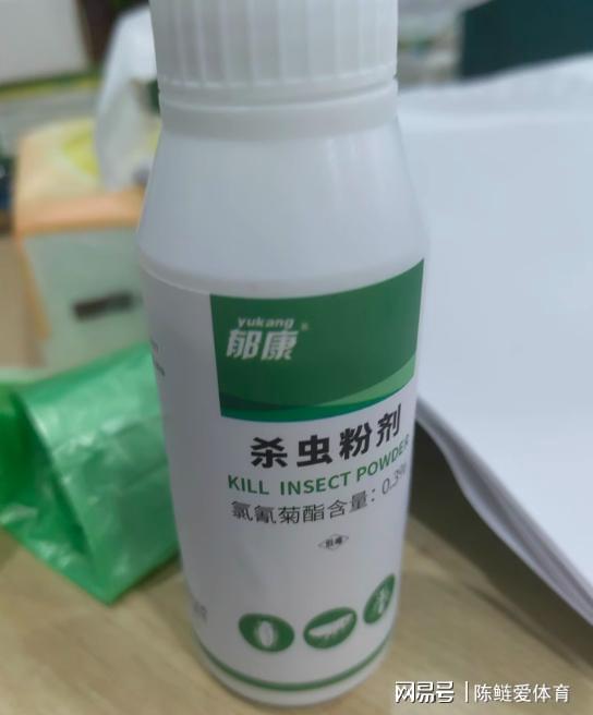 家里有潮蟲怎么辦？植物提取物助你徹底清除